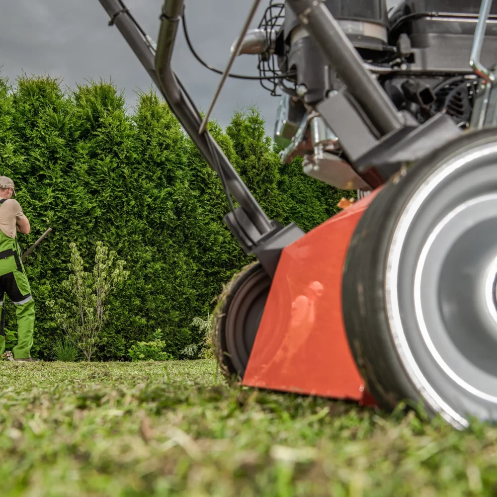 Garden Maintenance Wells, Somerset